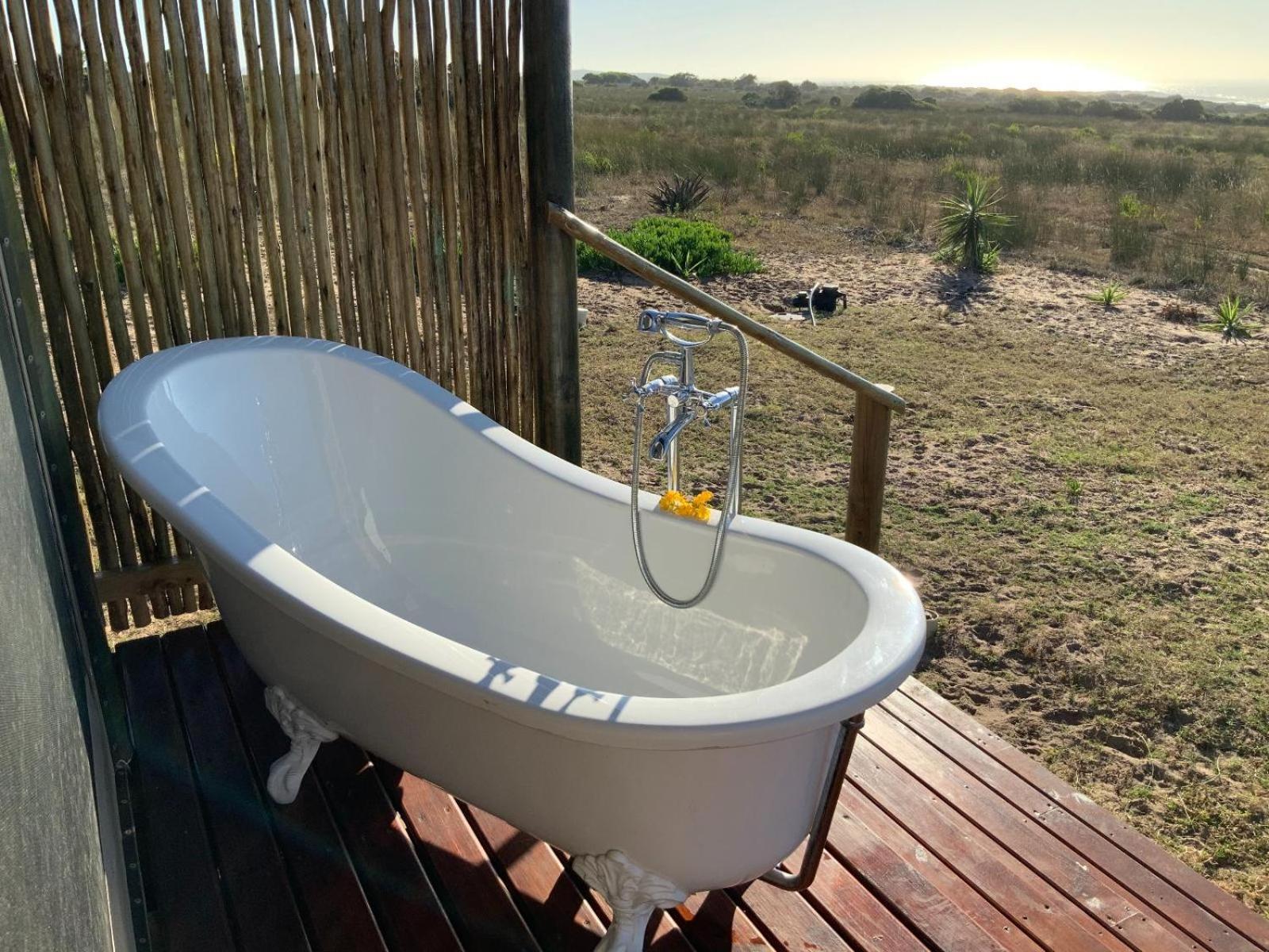 Kuierbos Luxury tent