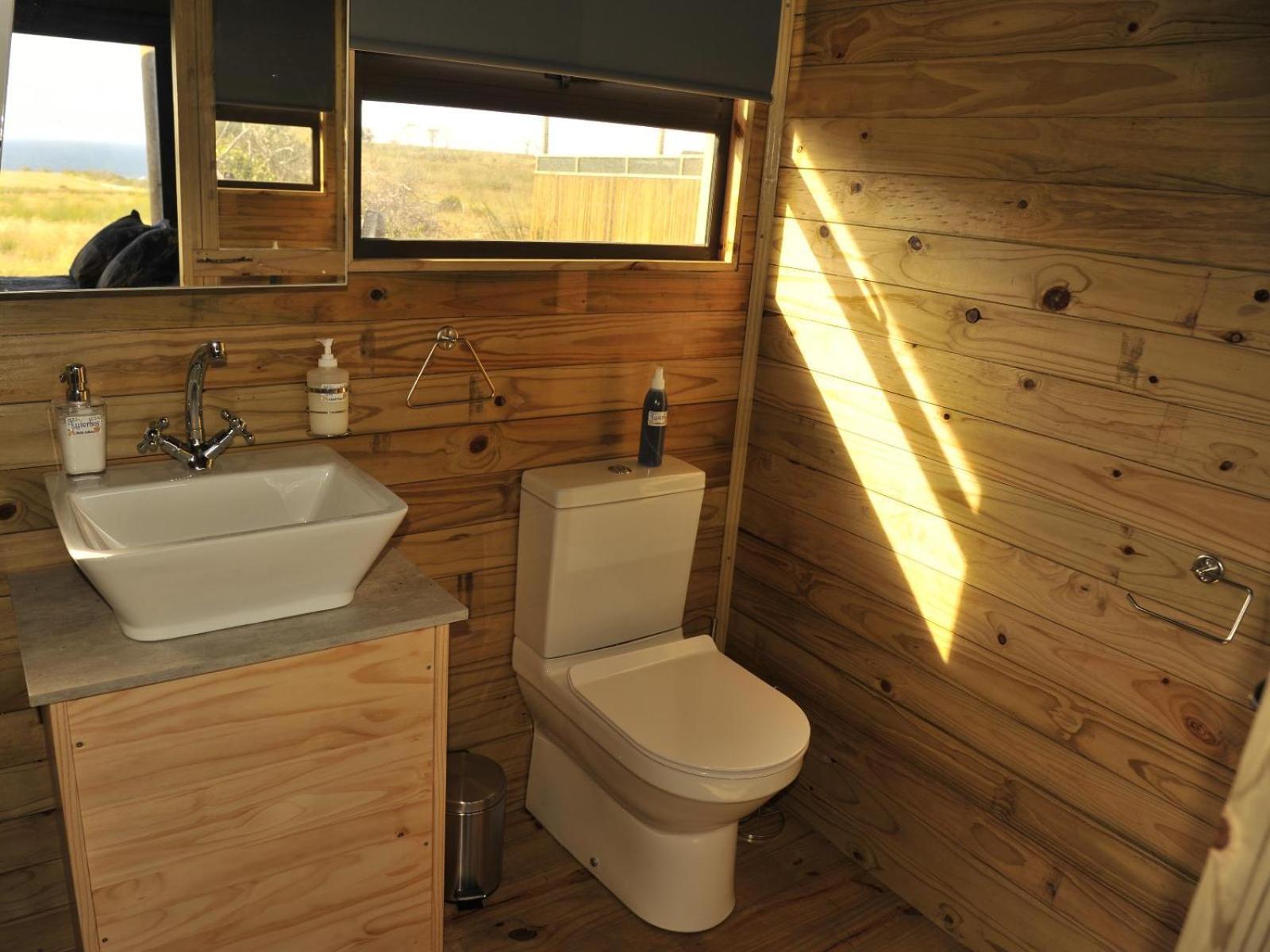 Luxury tent Kuierbos Gouritzmond