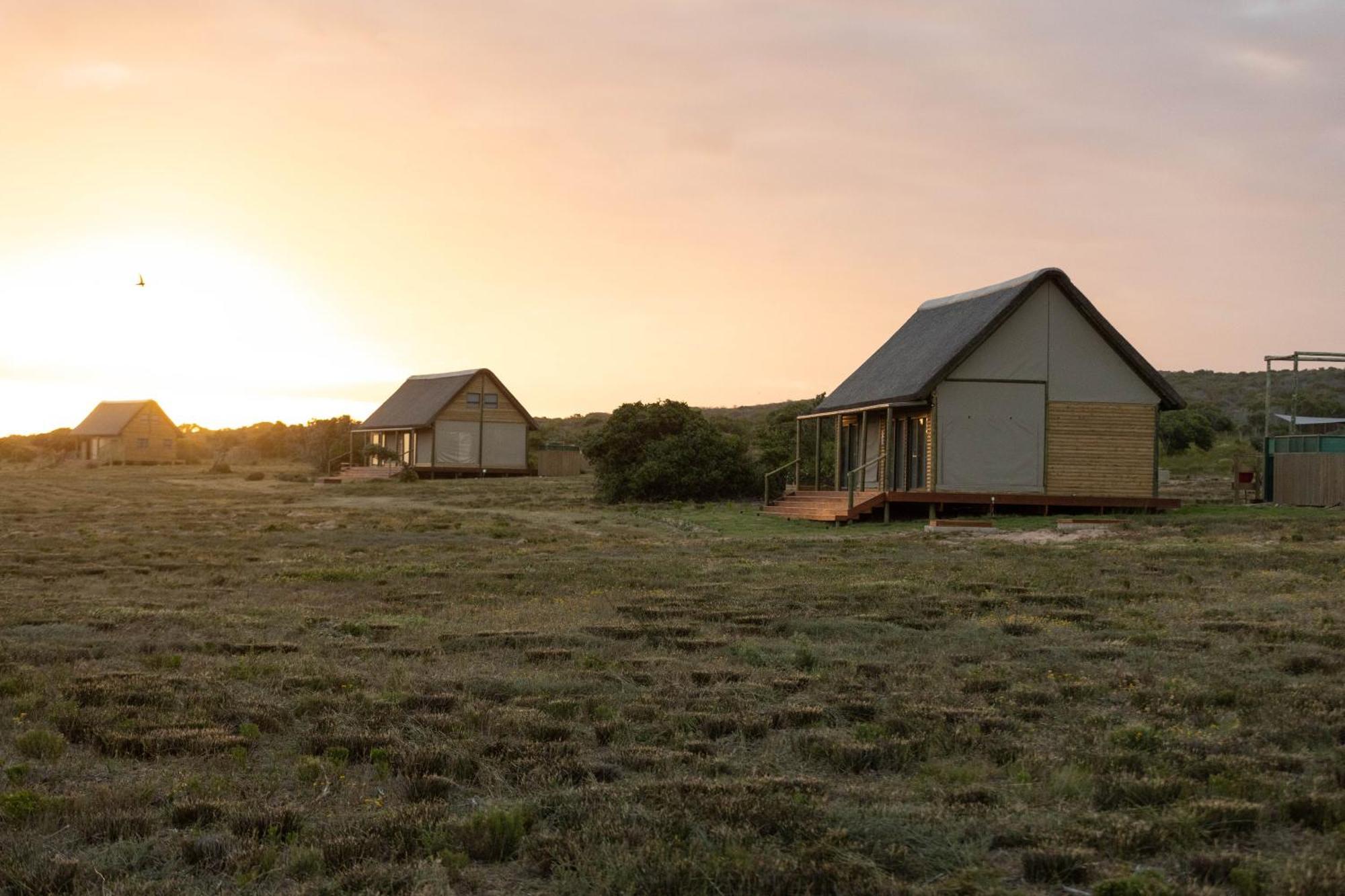 Luxury tent Kuierbos Gouritzmond